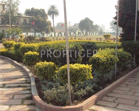 jtpl city kharar|Flats for Resale in JTPL City Plots .